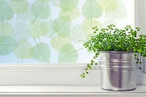 leaves-small-pic • Skyline Tinting LLC